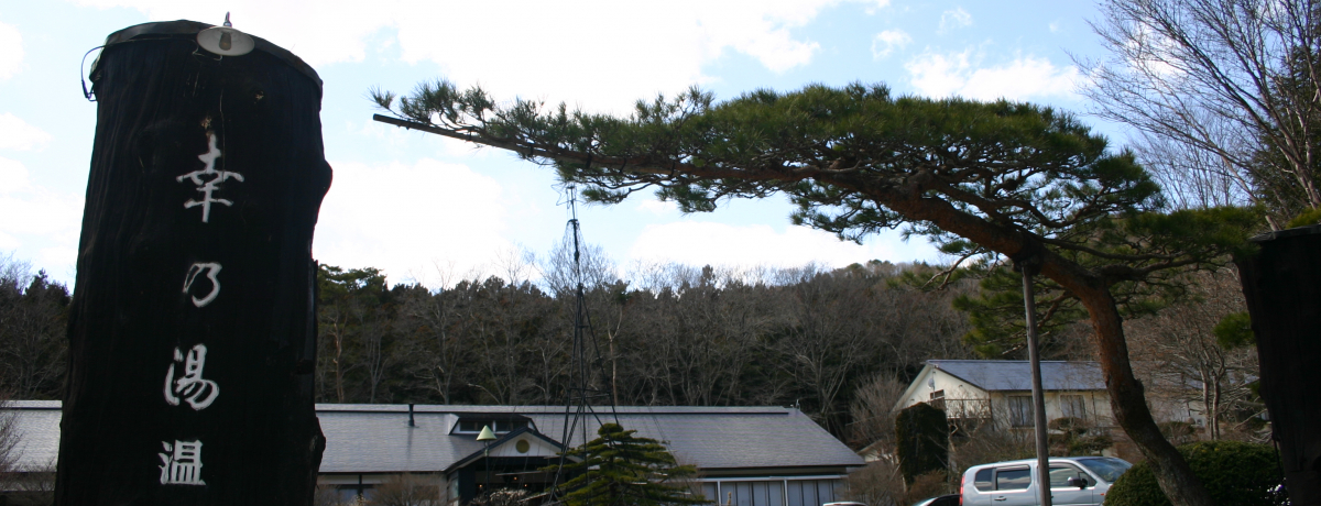 �p���[�X�|�b�g����h�I�Ȗ؁E������u�吳�� �K�T������v