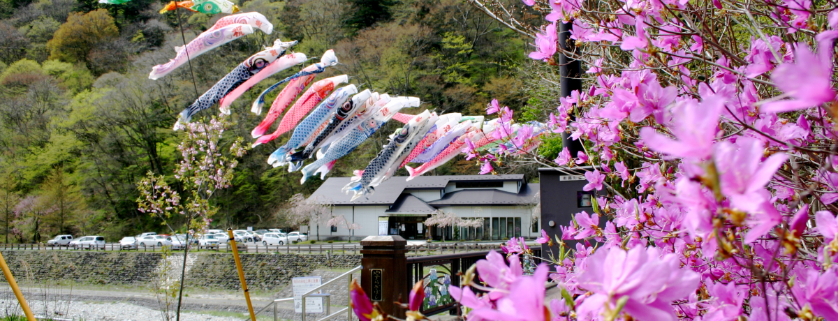 ߐ{uvT̕IPOOČ̂ڂ肪߉ϐj