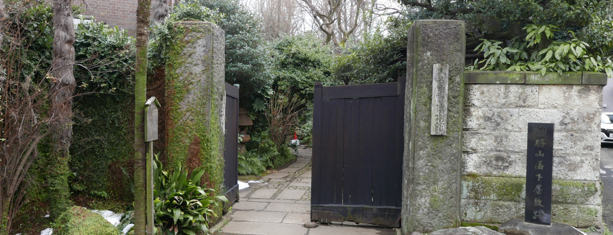 {w̃j[NI䓌̌Iȃ~[WASI