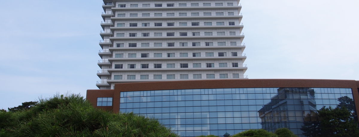 ΊC勴̒]y߂uV[TChzeqr_ˁvŁÂт