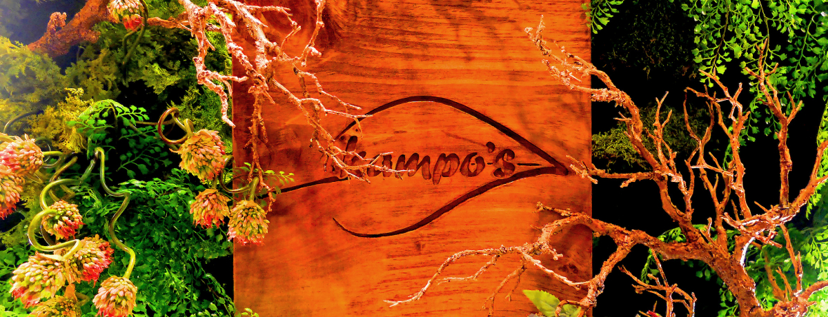 V̉BƓIIAVXuKampofsvIVtďC̃IVȃXgŐgS