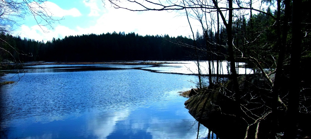 k_b̐XŃsNjbNIk[NVI̓wVLAł閲̐E