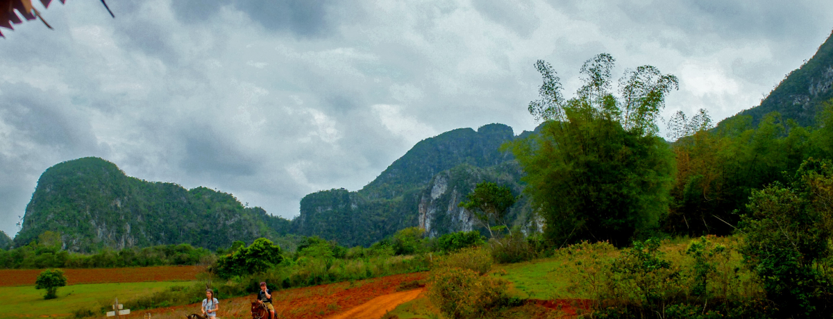 �L���[�o�́gTHE�E�_�����i�h���E��Y�r�j���[���X�k�J�͔n�ŏ���̂��f�R�������߁I