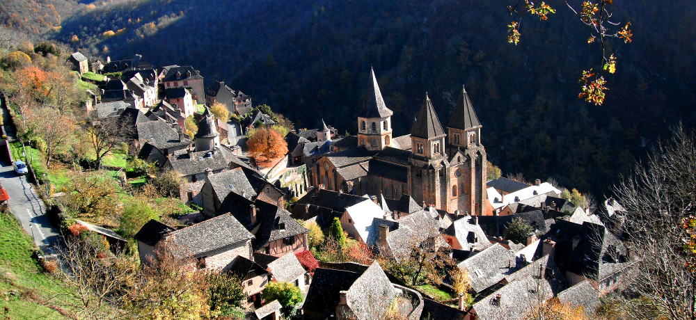 gtXōłhRNA{̖͂𖡂키ɂ