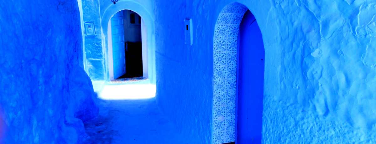 bR̐XuVEGvɂ͂̐i