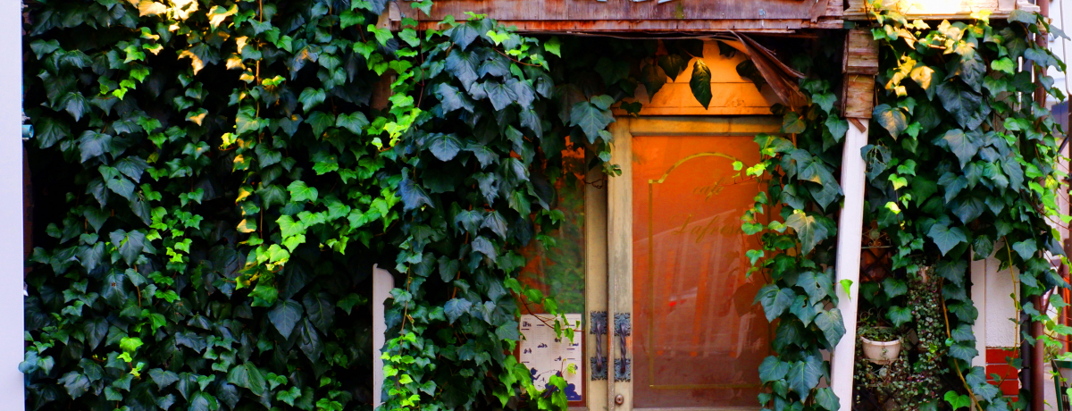 ς背gȓ{IV܍DKׂJtFBEST3