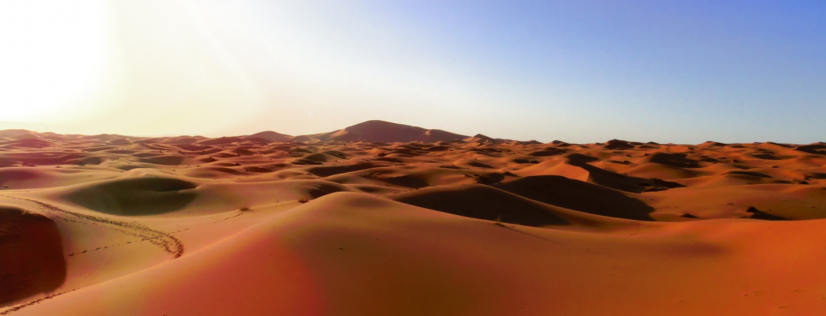 TԂŃbRSssόI߂̉fR[X