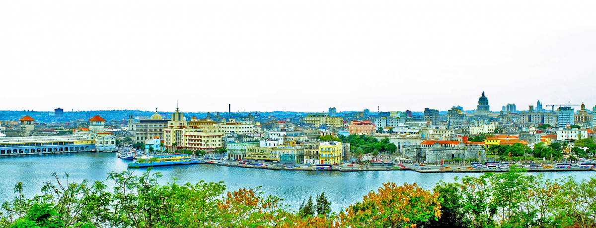 ���f�̃L���[�o�I���s���y���ނ��߂̊�{���