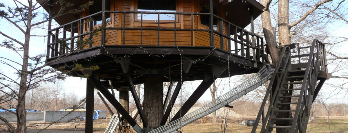 ����̃c���[�n�E�X�ɏh���I�k�C���\���E���ǒ��u�O���q��v���y��������I