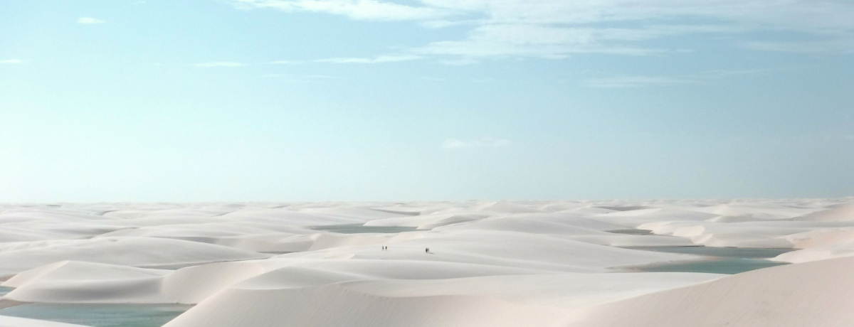 �������Ɛ����I�u���W���E�����\�C�X���������̐�i������������I