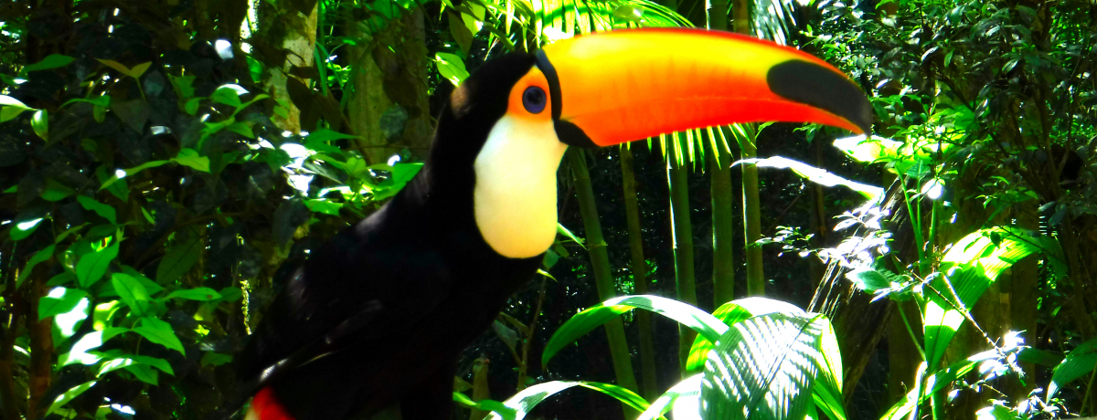 ����Ȓ������ƈꏏ�Ɂu�͂����`�[�Y�I�v�u���W���u�������v�͓�Ă̑厩�R�ƐG�ꂠ����y���I