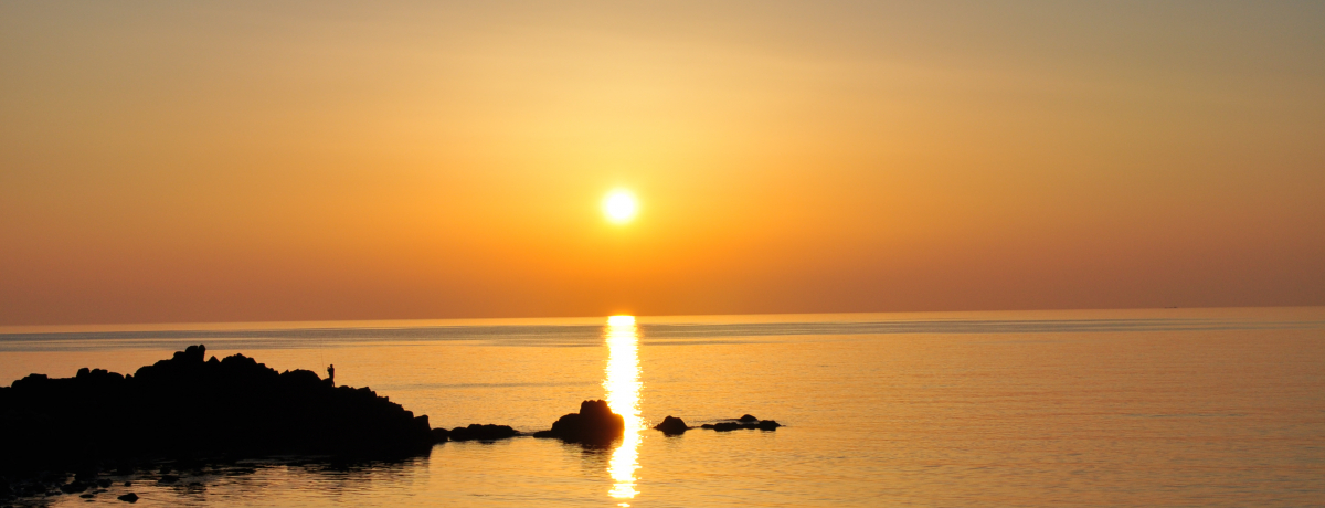 C̐iI[ẑ܂R`ECœṽJEg_E