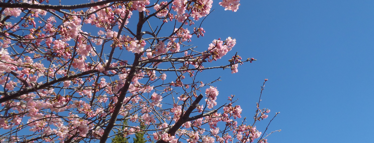 {ꑁԌCHɓE􉷐́uxqفvI