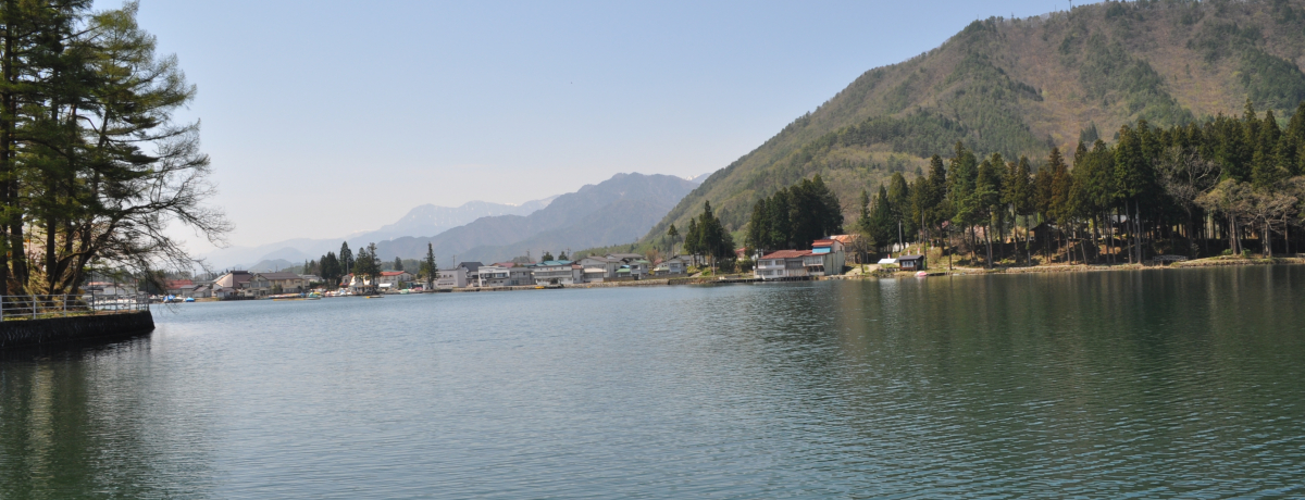 ΂̉IE咬su؍Ήv̗CCI