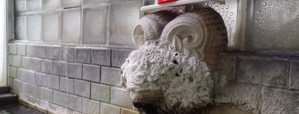 �ꌩ�̉��l����R�e�R�e�����I����E����������u�ӂ��◷�فv