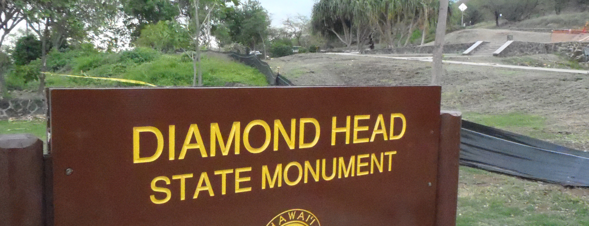 �I�A�t���̃h��ԁI�_�C�A�����h�w�b�h�̉B�ꂽ��ʂ��ʔ���