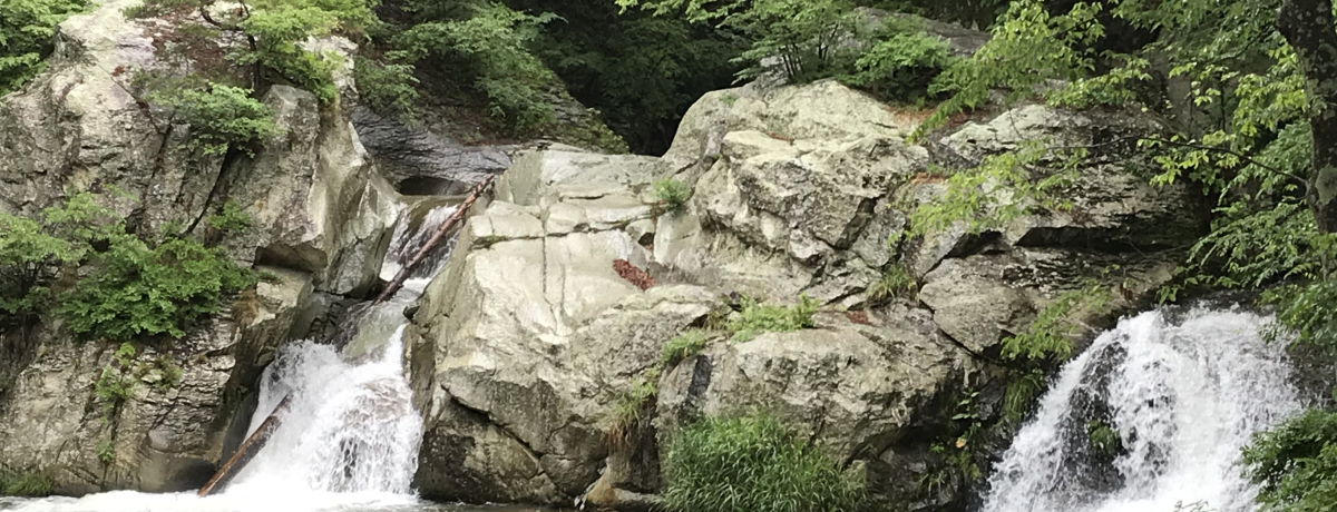 ǐɓ蕗I쌧csE^cƂ䂩̐É