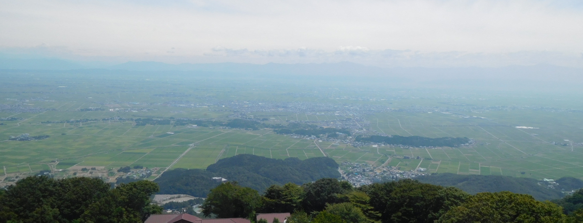 �V���E��F�R�u�p�m���}�^���[�v�ő̊�����_�l�̎��E