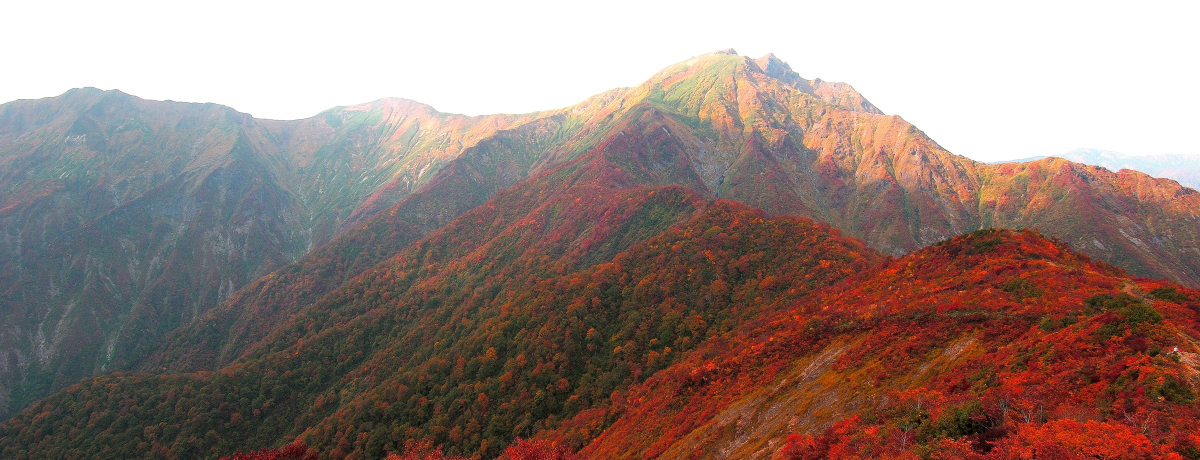 �J��x���[�v�E�F�C�ƃ��t�g�ōg�t���_�C�I�u�V�_���v�܂ł̂���y�󒆎U��