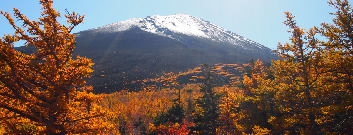 ꂽuAKXĂ_IIxmR܍ڂ̏H