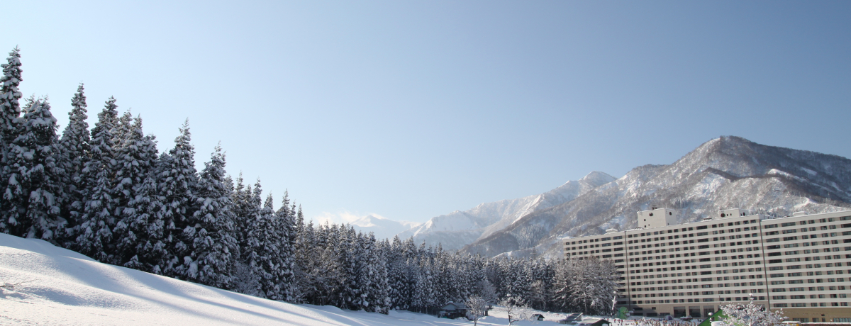 XL[꒼ጩIVCuG[OfBAz㒆vœ~𖞋iI