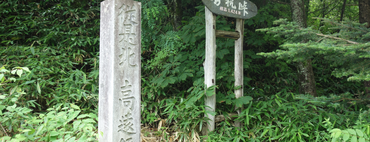 \̃p[X|bg쌧uYvꐅ˂TI