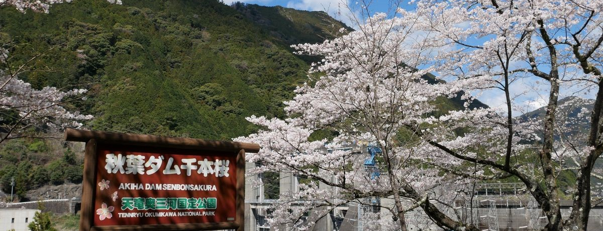 �_���ΔȂ����F�ɐ��܂�I�l���u�H�t�_����{���v