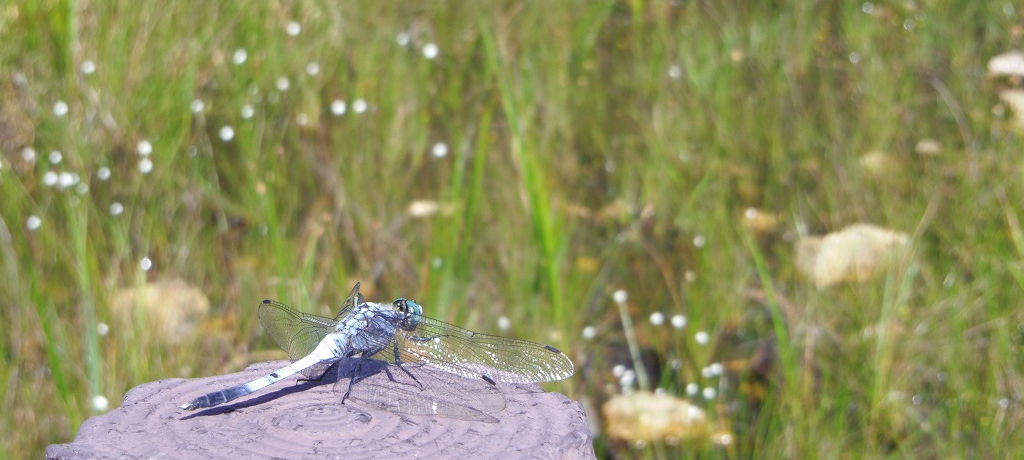 Ćg~jhmLuюvŋMdȐA悤I