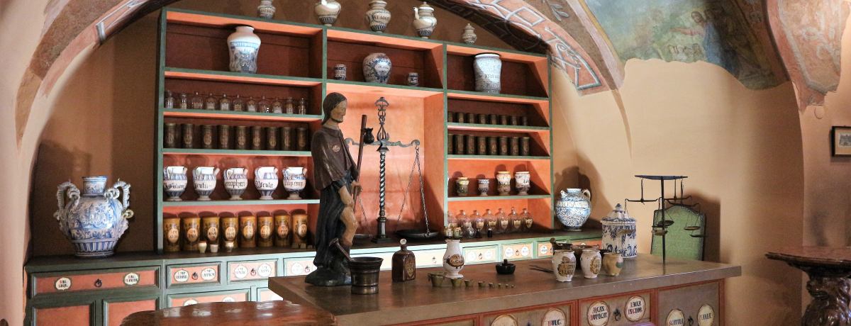 �n���K���[���̖�ǂ��Č��I�u�_�y�X�g�u���̘h��ǔ����فv