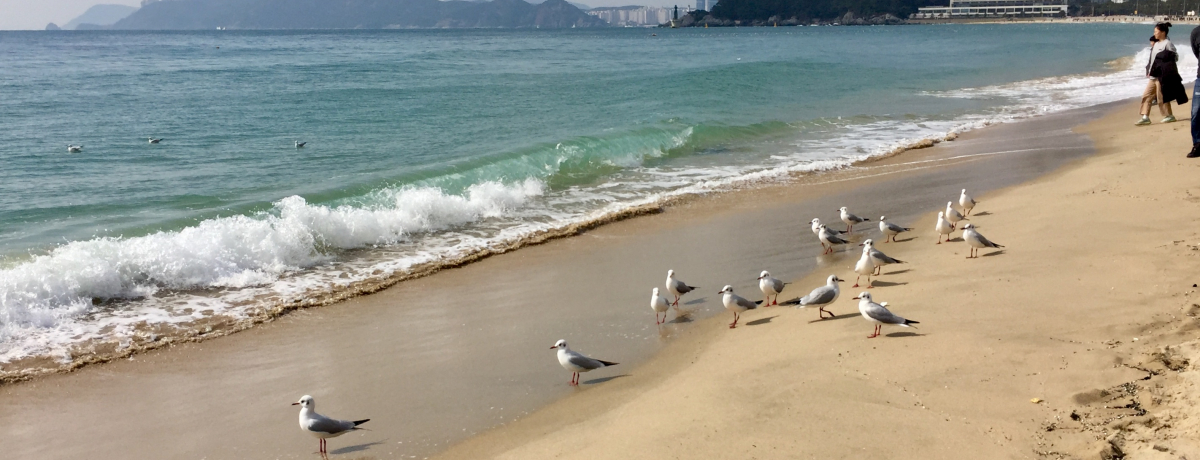 C_̊Cs͂΁IRuMAMA Guesthouse Haeundaev