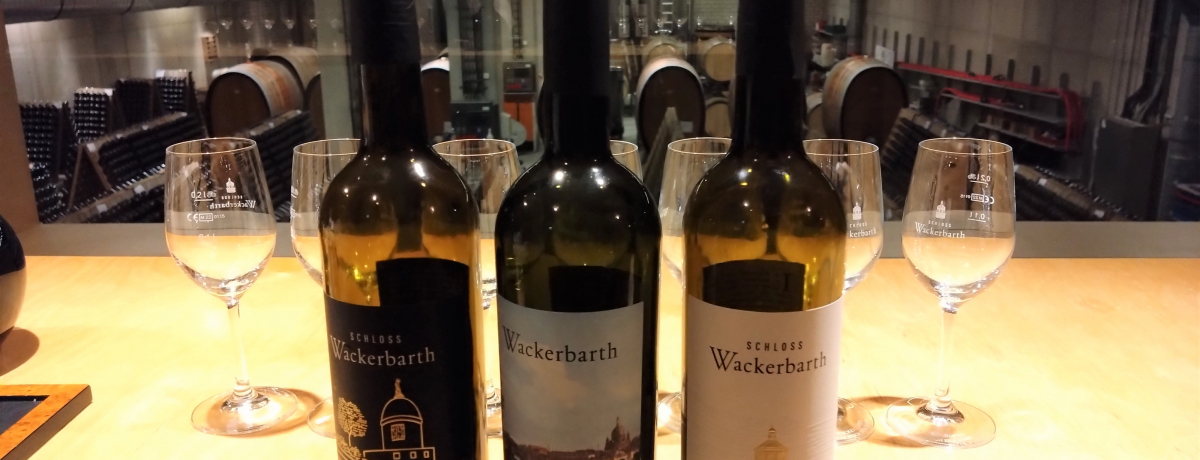 �h���X�f���u�V�����X ���@�b�J�[�o���g�v�ŃU�N�Z�����C���𖡂킨���I