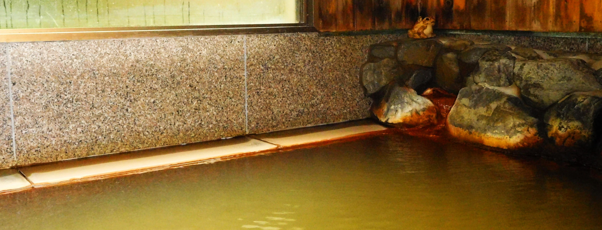 ���蓡���������ꂽ�����g�g��̉B�ꓒ�h���h�u�g�쉷�򌳓��v