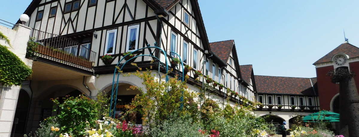 V_˂5̊yIu_˕zn[uv܂ƊyޕKCh