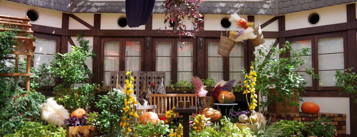 H̉ԂƃnEBŗVԁI_˕zn[uGARDEN FEST 2024 -Autumn-