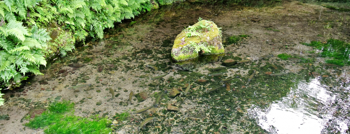 ���{�L���̖����I����u�V�̐^����v�Ŗ����̎��Ԃ��߂���