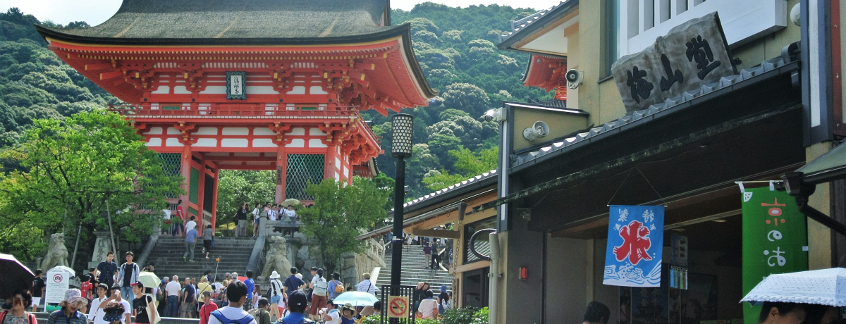 ׂĂ̍⓹͐ɒʂIHsu̎QvOU