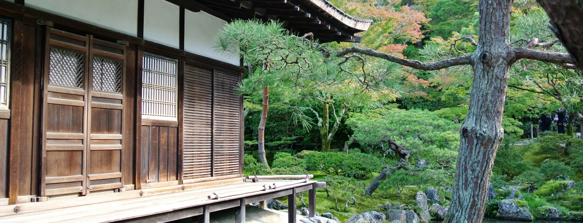 �t�ƏH����̓��ʔq�� ���s�E��t���u�������v�̐����ɔ���I