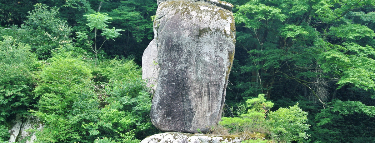 ȂłȌ`Ȃ!?uS̐kvŎRoɋ