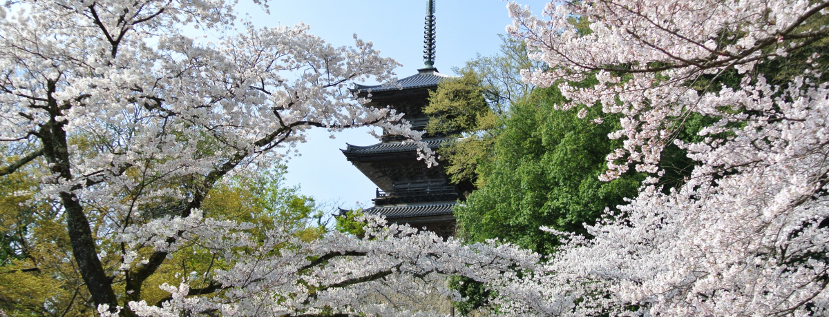 �����ɂ��������u�������v!?����̐�i���X�|�b�g�ɋ��Q�I