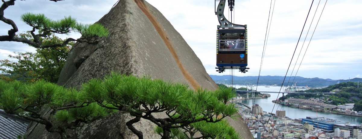 ��̒��ɉf�����F�̂����I�L���u������v�͖��͂������ς�