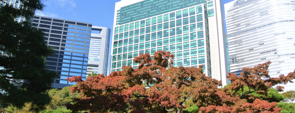 gty߂ul{뉀v𗣂ꂽ̃IAVX