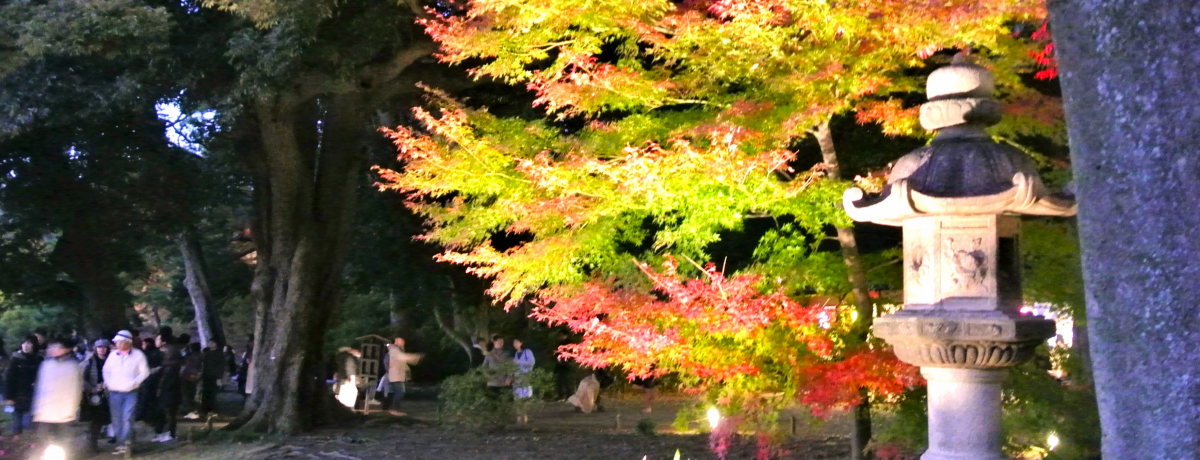 CgAbvȂIgtӏ܂ȂuZ`vŌ܂