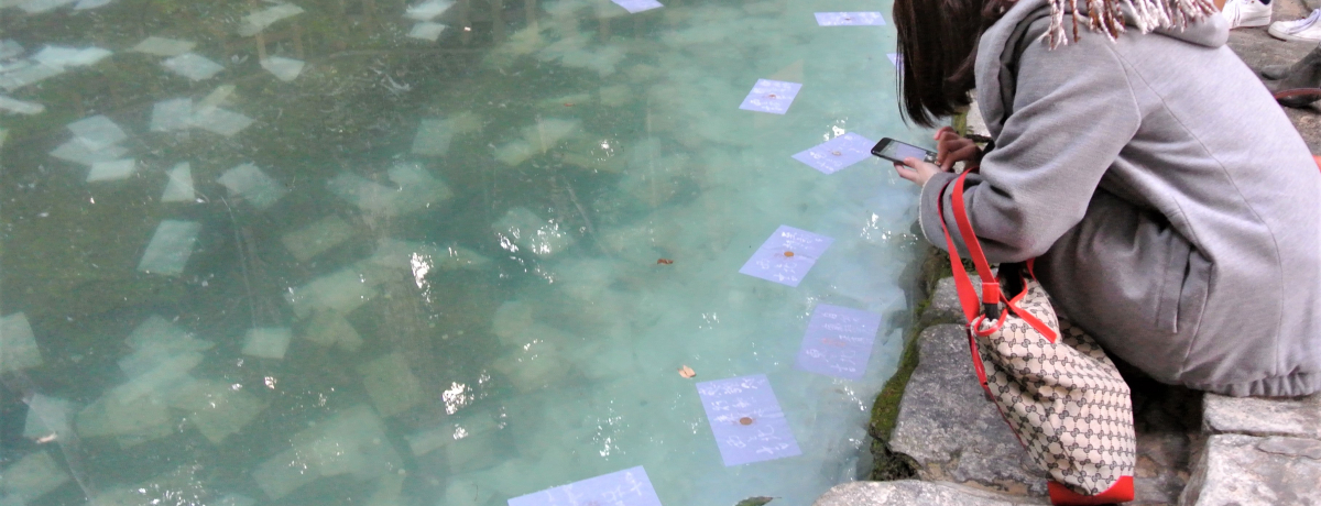 肢͕KIud__Ёv͉т̒p[X|bg