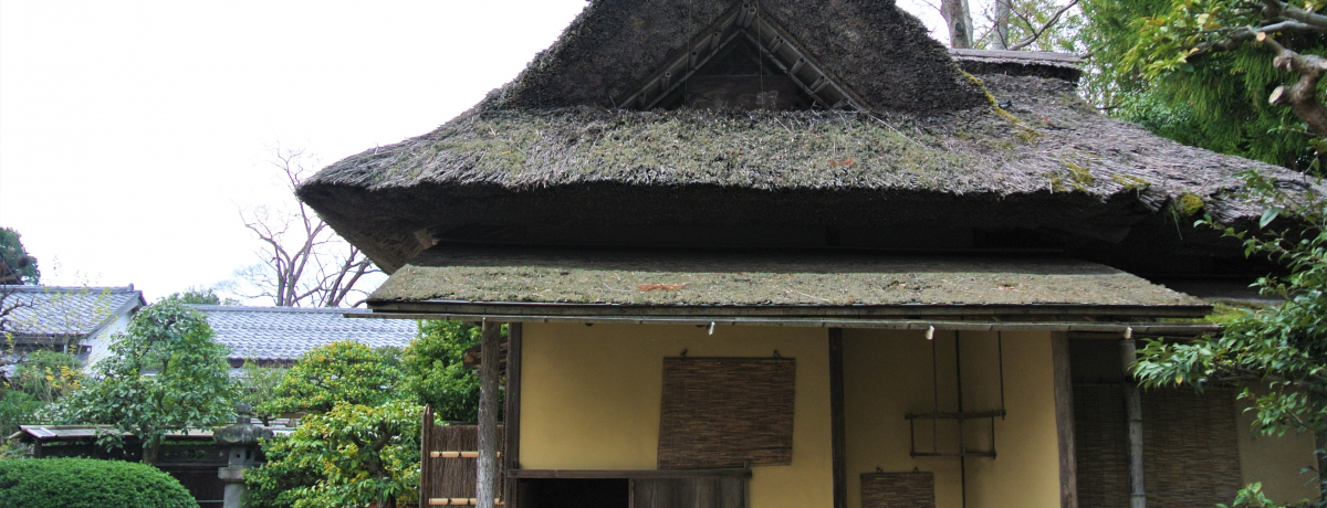 Ƌq̊y݂ǋIuXv͒MdȒ