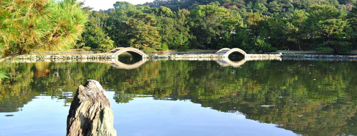 �a�̎R�u�{�����v�C�����������񂾍]�ˎ���̗Y��Ȓ뉀�͕K��