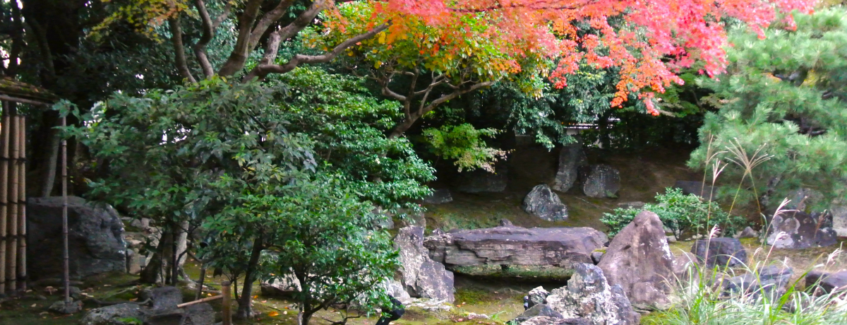 ���s�u�����@�v�G��̂悤�Ȕ������g�t�͌������Ȃ�