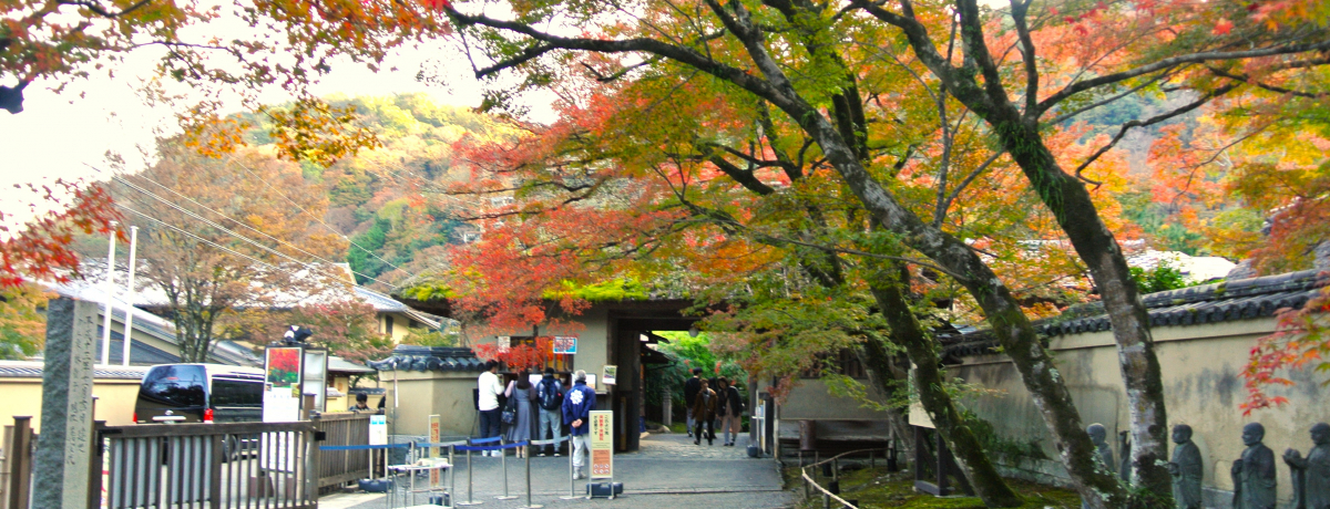 ���s�u�󌵉@�v�ۂ̔������뉀�Ŋӏ܂��錶�z�I�ȍg�t�͕K��