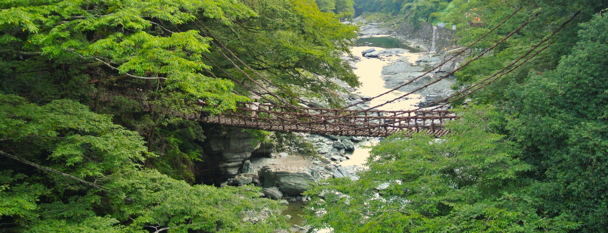 徳島「祖谷のかずら橋」