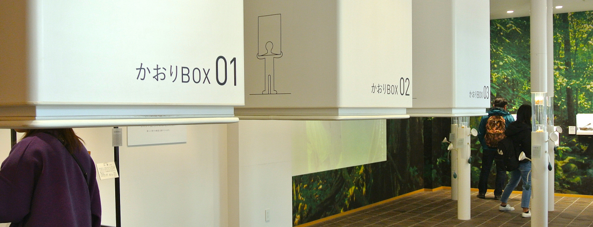 �M�d�ȍ����̌��ł��鋞�s�u�O�K�فv�œ��{�̍�������m�낤�I