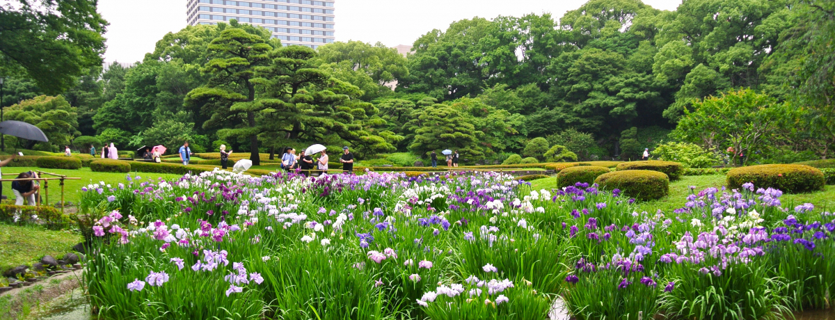 �]�ˏ�ɂ���u��̊ے뉀�v�͎l�G����������������X�|�b�g